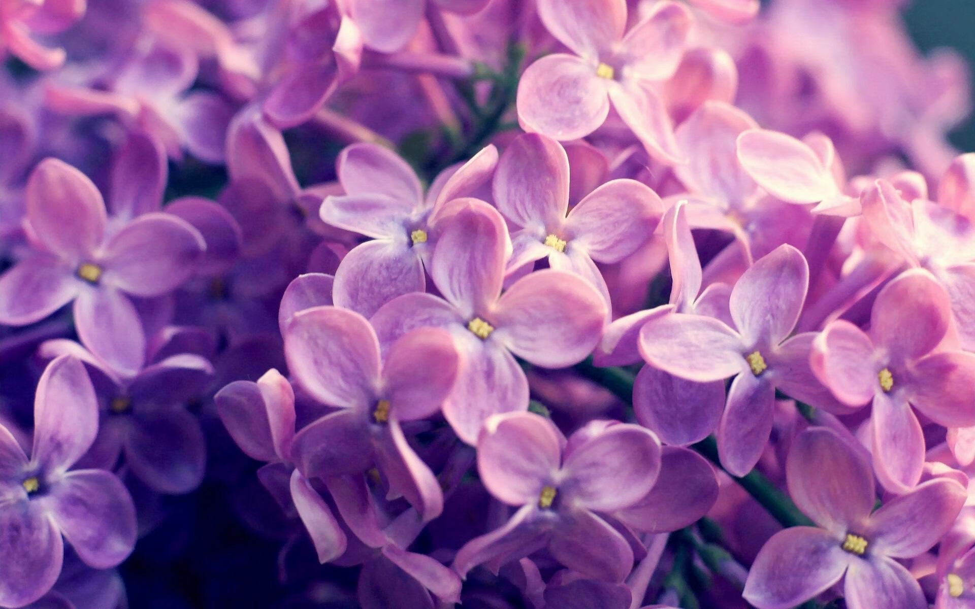 乐鱼官网-主力状态下滑期替补登场替代率变化对比分析，替补才是主力