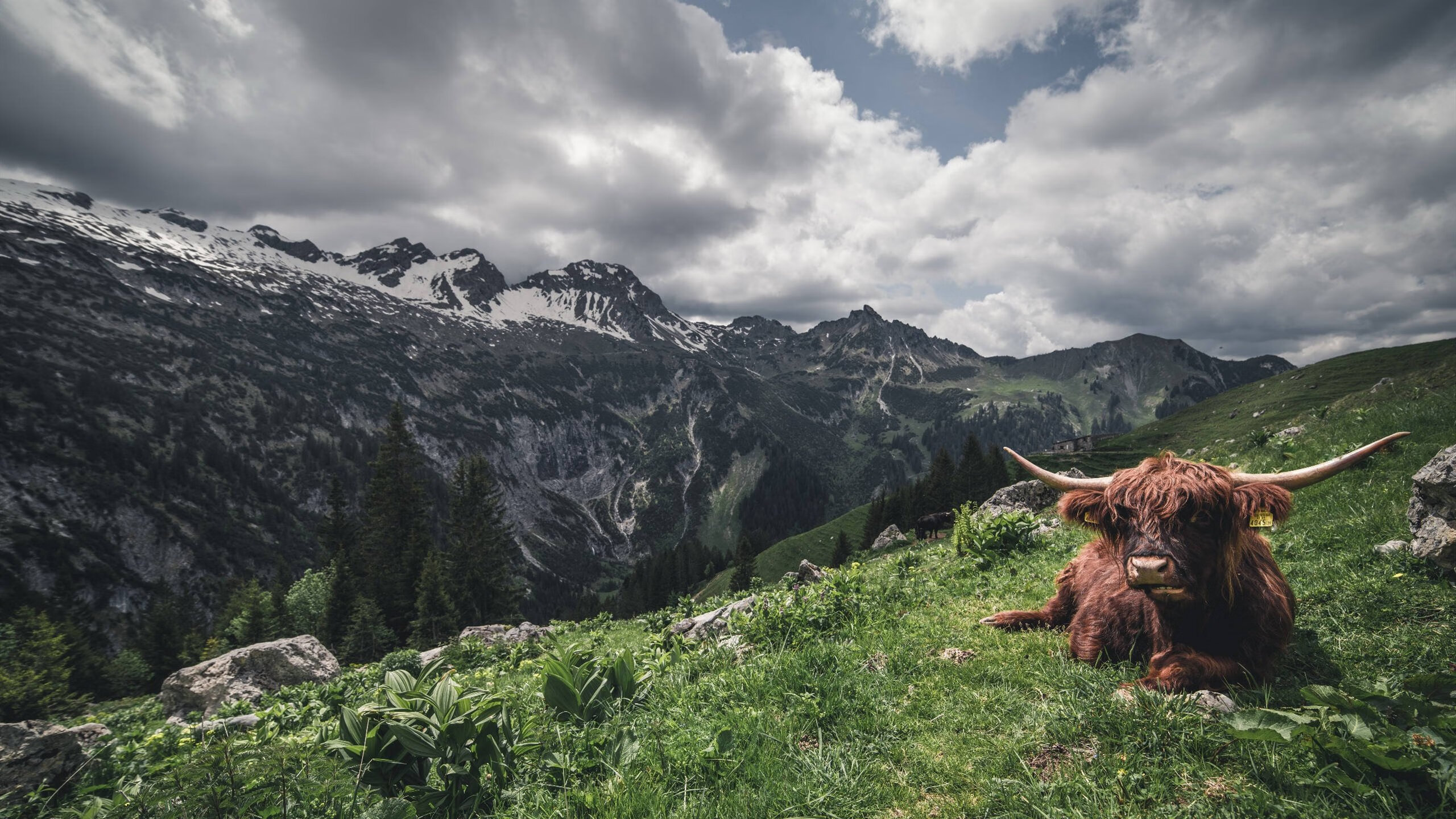 全运会媒体传播引入VR技术提升观赛体验,全运会赛事指挥和新闻媒体中心