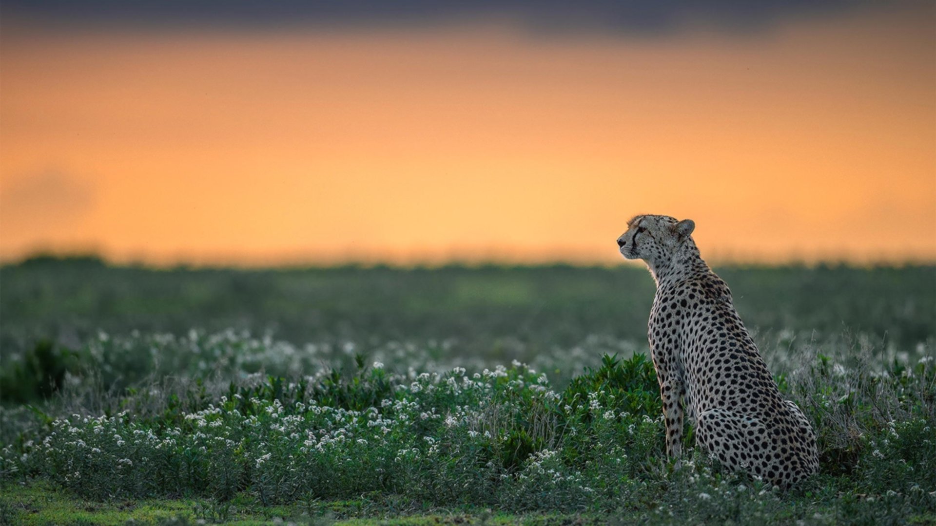 博卡射门欲望不强,起脚犹豫,博卡vs