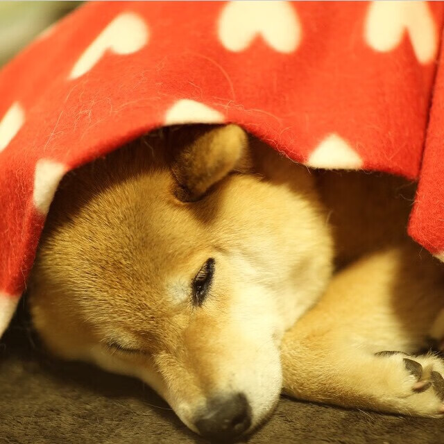 维拉核心球员伤愈复出带来积极变化，维拉实力