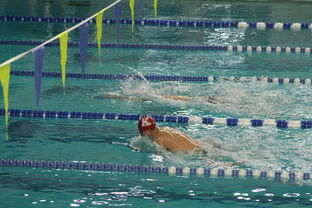 乐鱼体育官网注册-张雨霏自由泳接力助队夺冠，张雨霏自由泳接力助队夺冠了吗