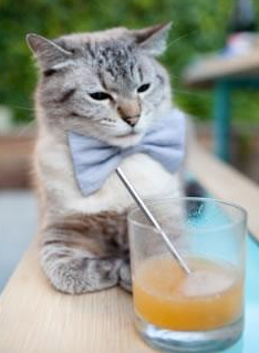 德甲精彩瞬间：速度、力量、智慧的极致展现！，德甲跑动距离排名