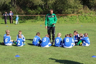 乐鱼体育app在线登录-欧洲杯总冠军之争：战术智慧与个人能力的较量，欧洲杯冠军百度百科